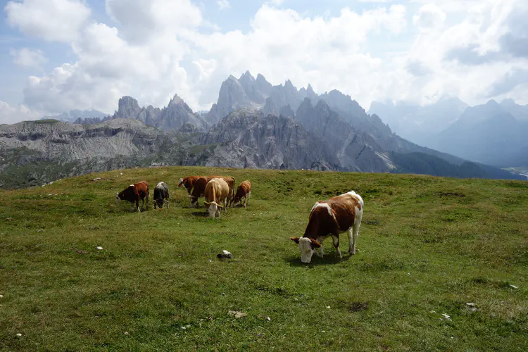 dolomites_22.JPG