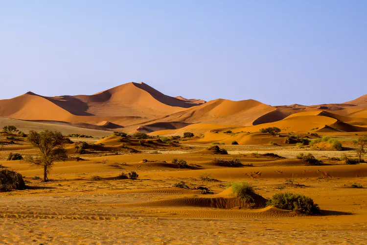 namibia_05.jpg