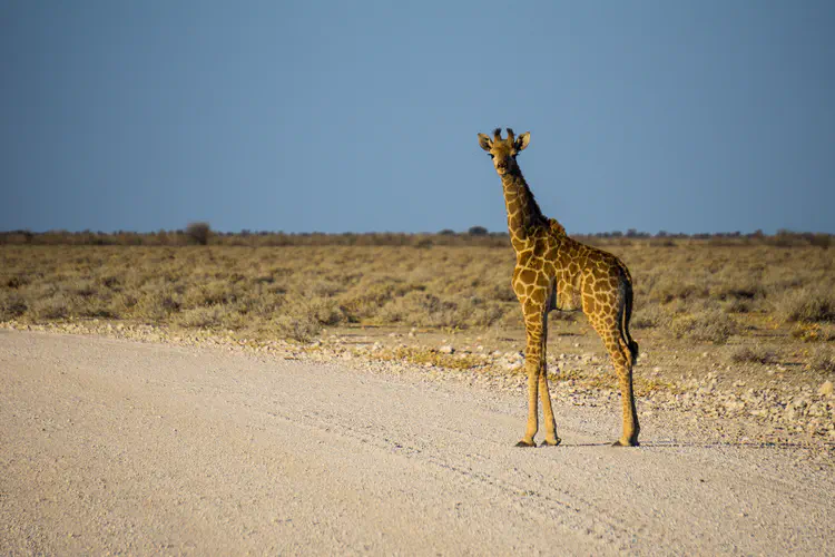 namibia_13.jpg