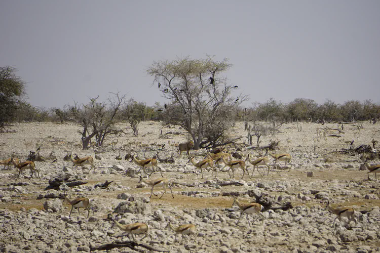 namibia_15.JPG