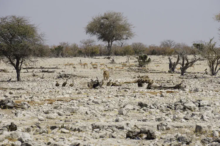 namibia_16.JPG