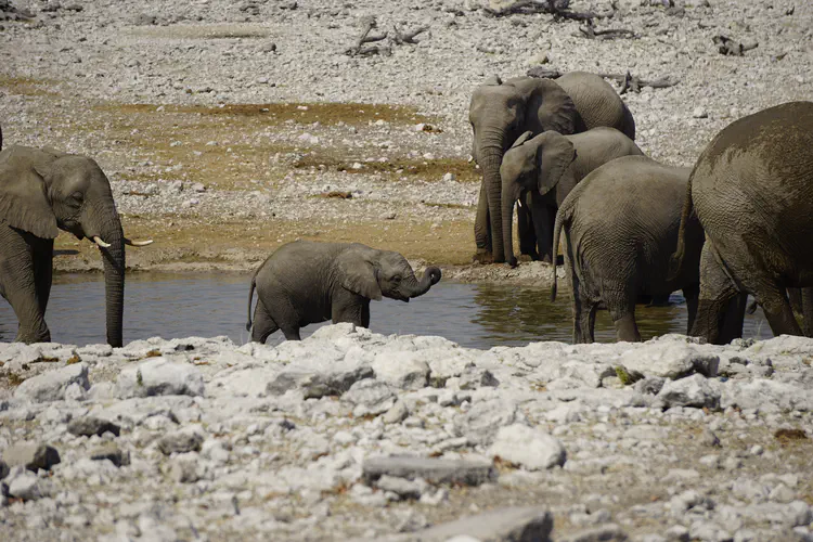 namibia_18.JPG