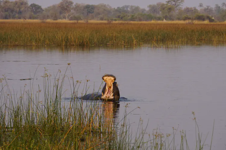 namibia_29.JPG